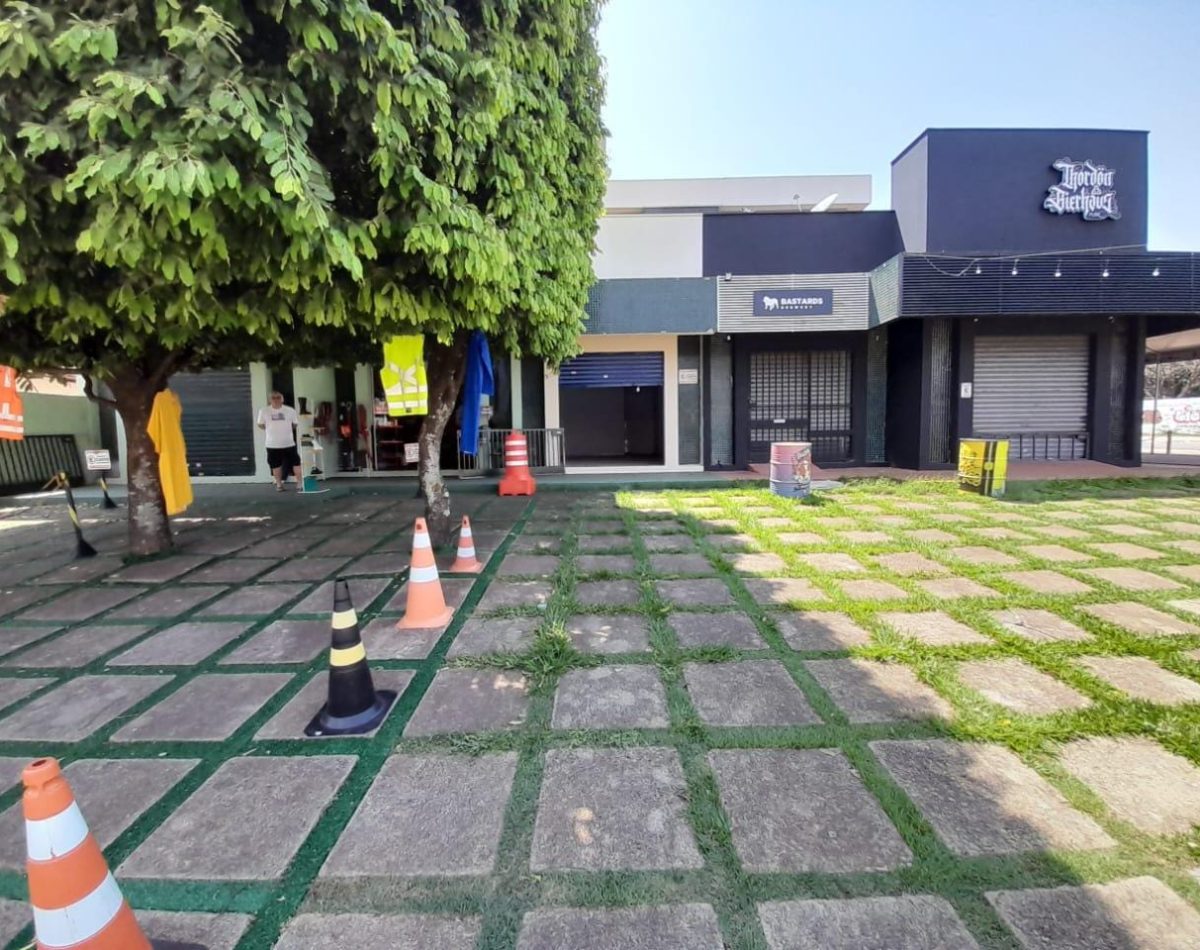 011749733765050
