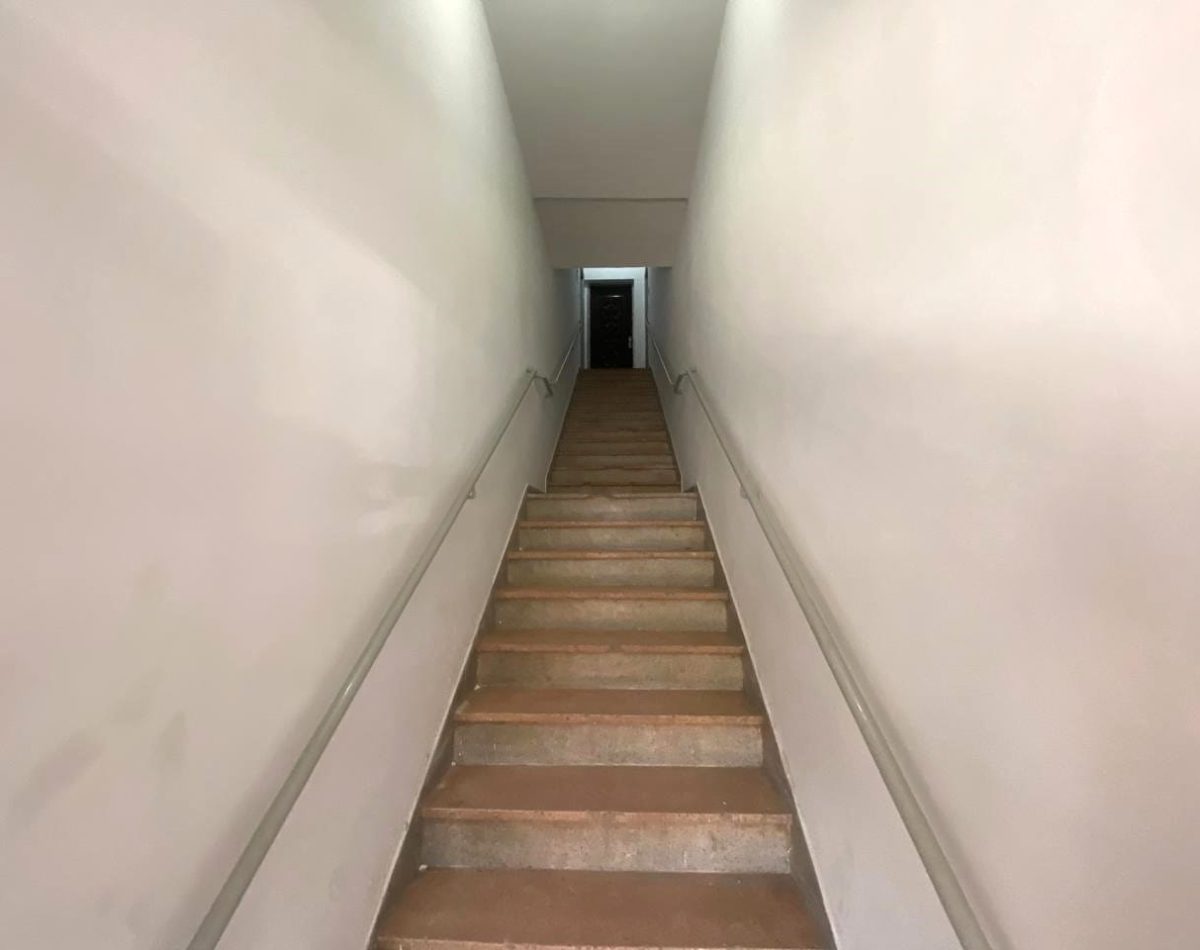 021729538911471-1