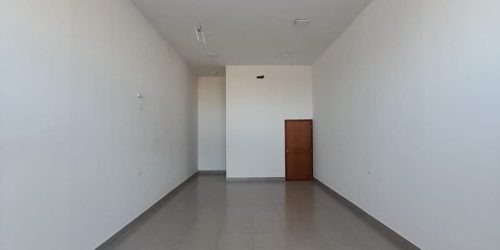 031719342361676