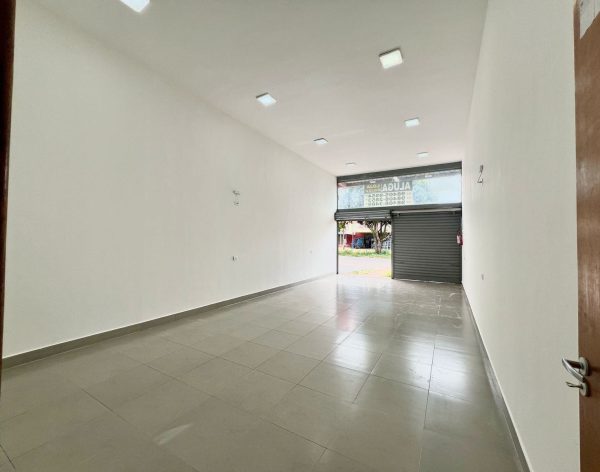 041744832778561