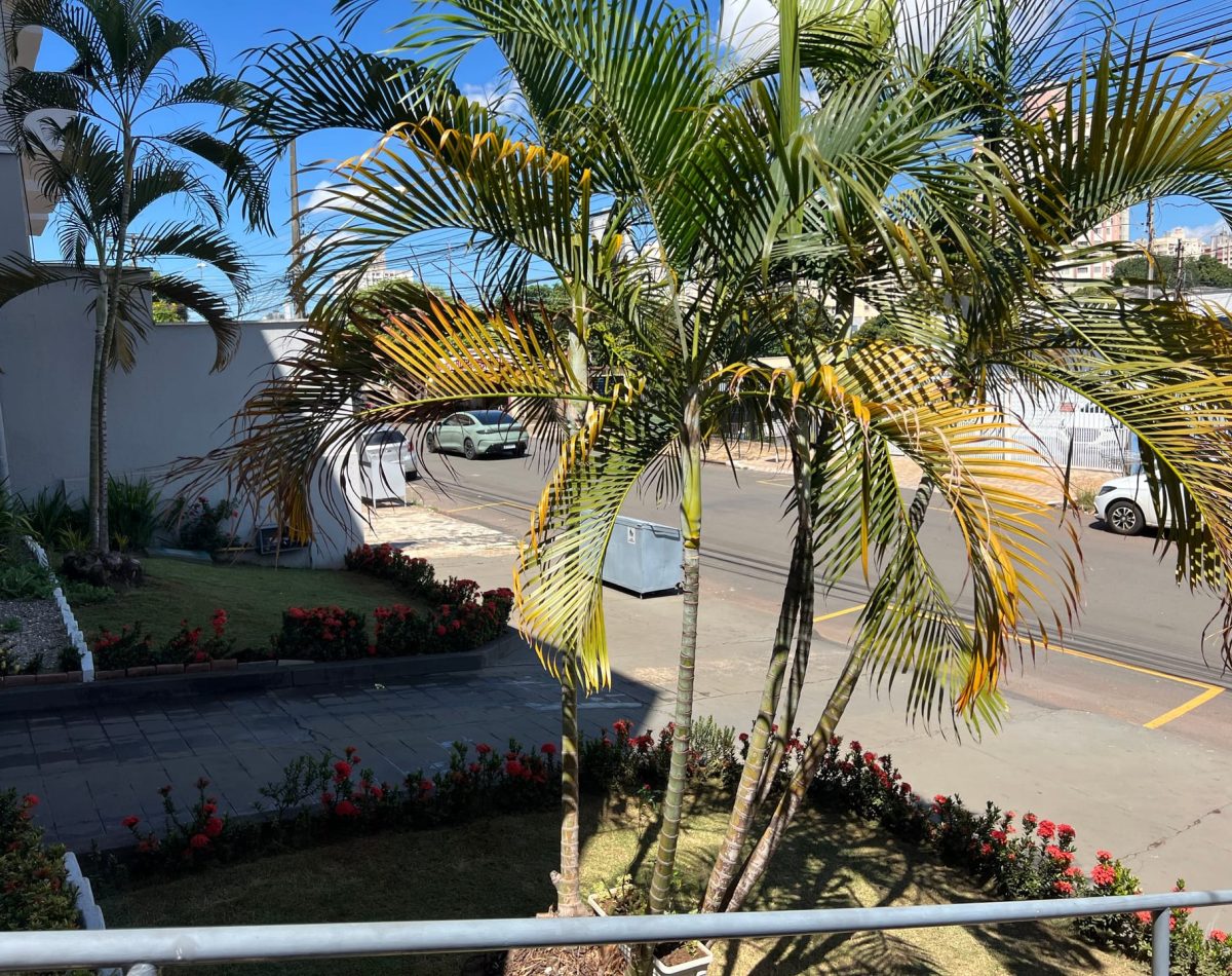 img_12301744229257253