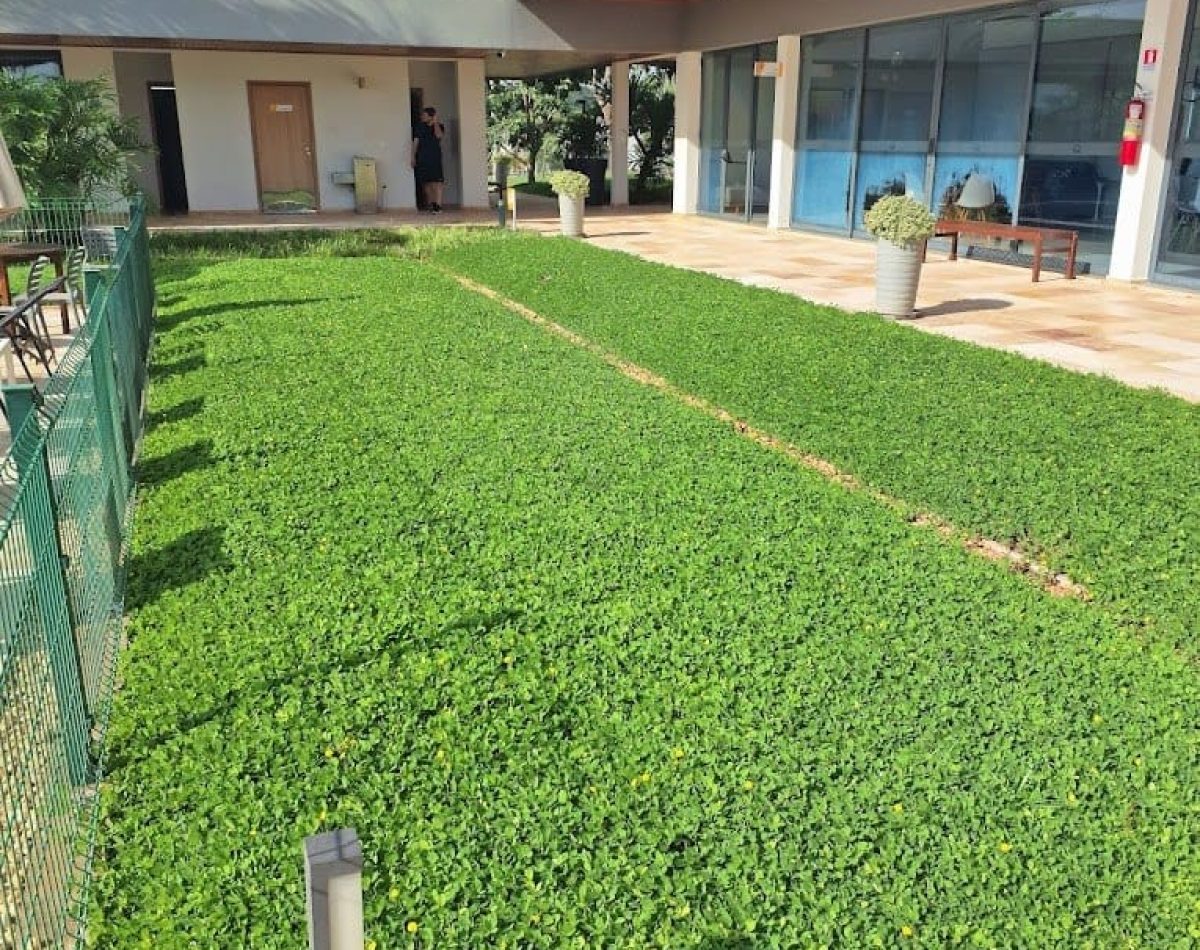 terras21742304843684