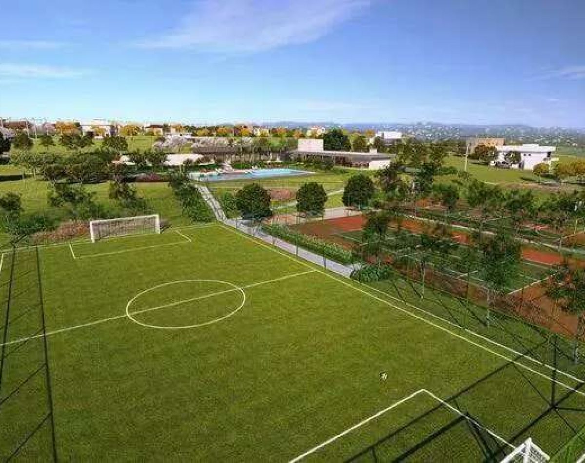 terras41742304845530