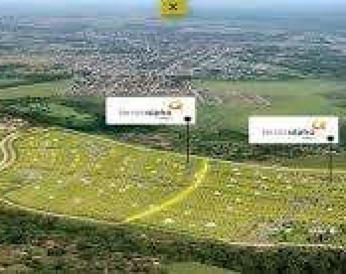 terras71742304843534